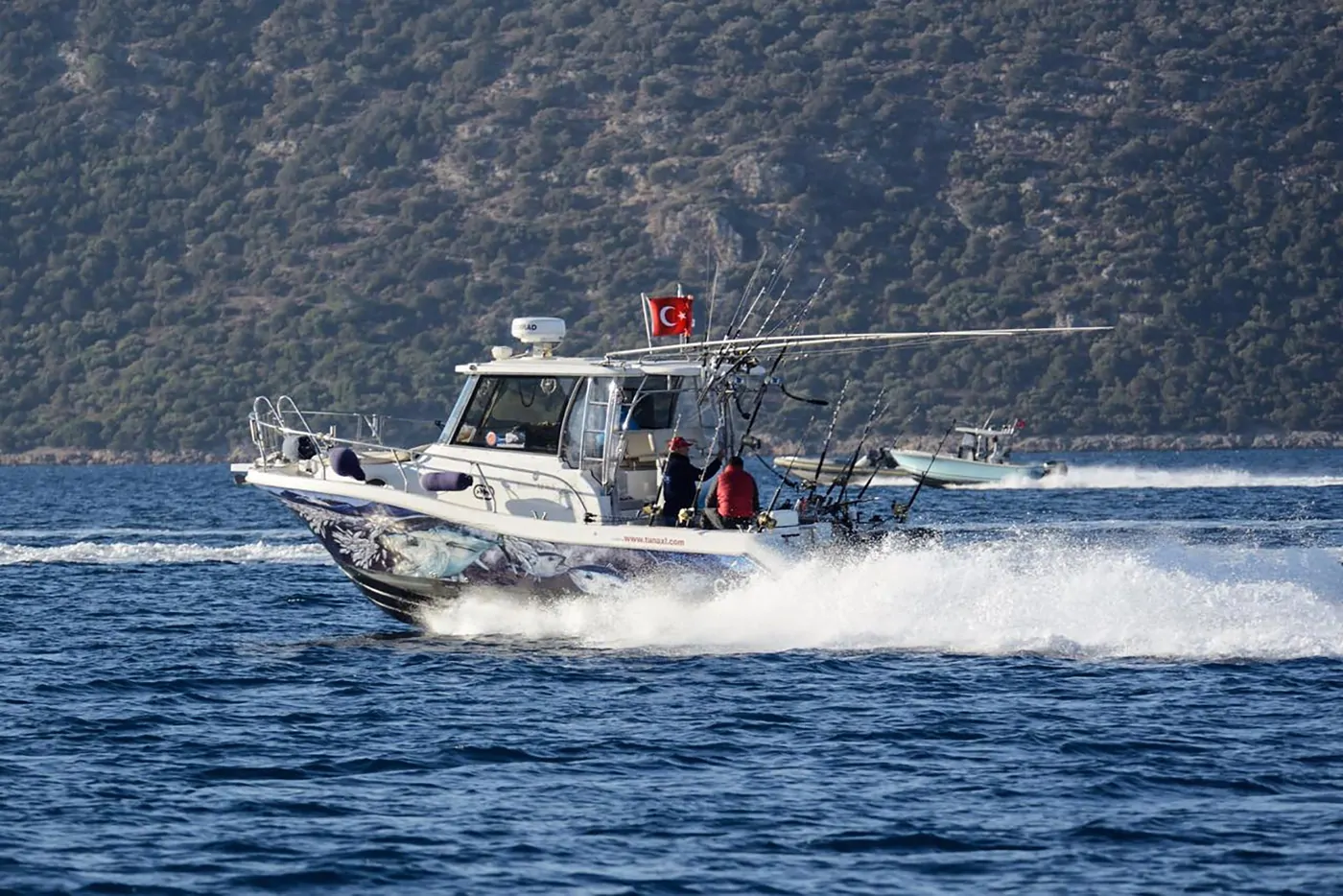 Mercan Bonito 32 OB – 3