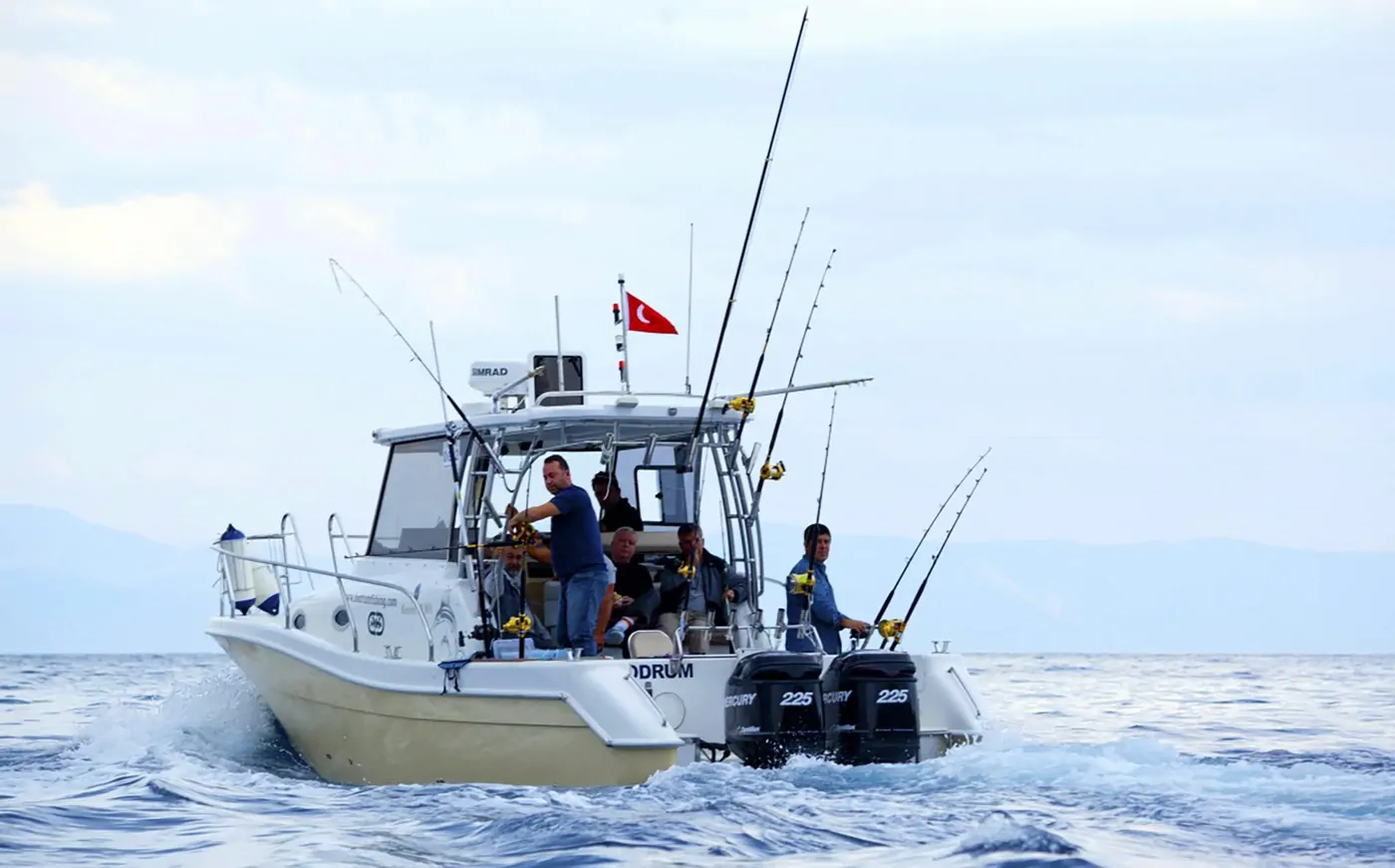 Mercan Bonito 32 OB – 5