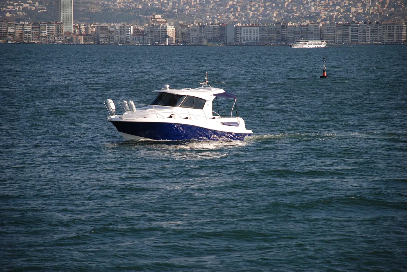 Mercan Goby 280 – 8